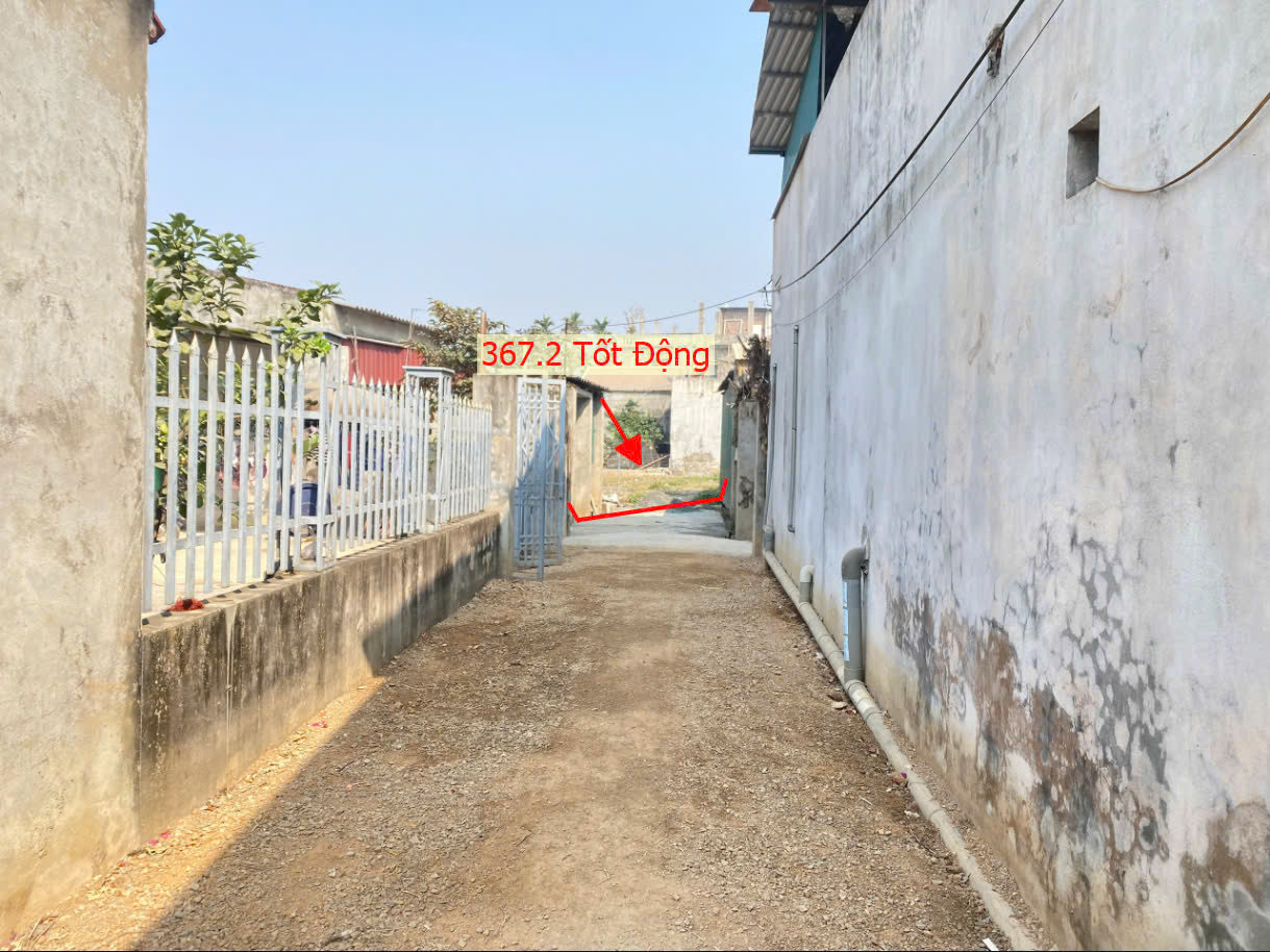 Hình ảnh Bán Đất Tốt Động Ngay Sát Mặt Đường Kinh Doanh Nguyễn Văn Trỗi Gần Cầu Zét Giá Chỉ Vài Tỷ 