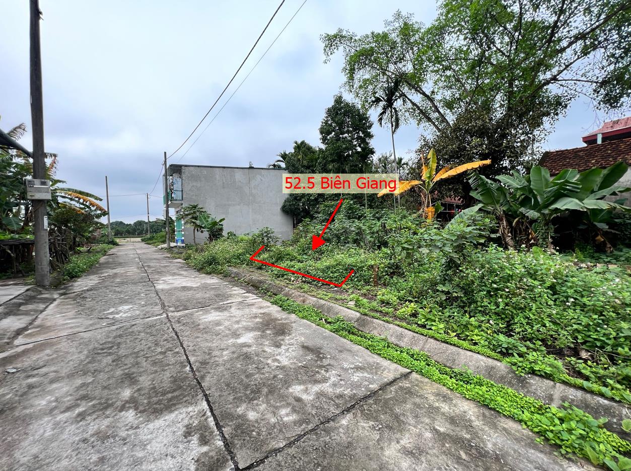 Hình ảnh Bất Động Sản Chương Mỹ Bán Đất Đấu Giá Phúc Tiến Biên Giang Đường Ô Tô Tránh Ngay Gần QL6A, Cầu Mai Lĩnh Đang Mở Rộng