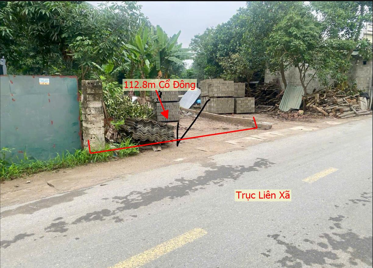Hình ảnh Bán Lô Đất 112.8m Tại Cổ Đông Sơn Tây Bám Đường Liên Xã Ô Tô Chạy Vòng Quanh Dân Cư Đông Thân Thiện