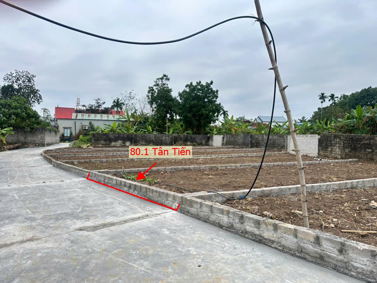 Hình ảnh Đất Phân Lô Tân Tiến Ô Tô Vào Tận Đất Sát Trục Chính Kinh Doanh Liên Xã Giá Chỉ Hơn Tỷ