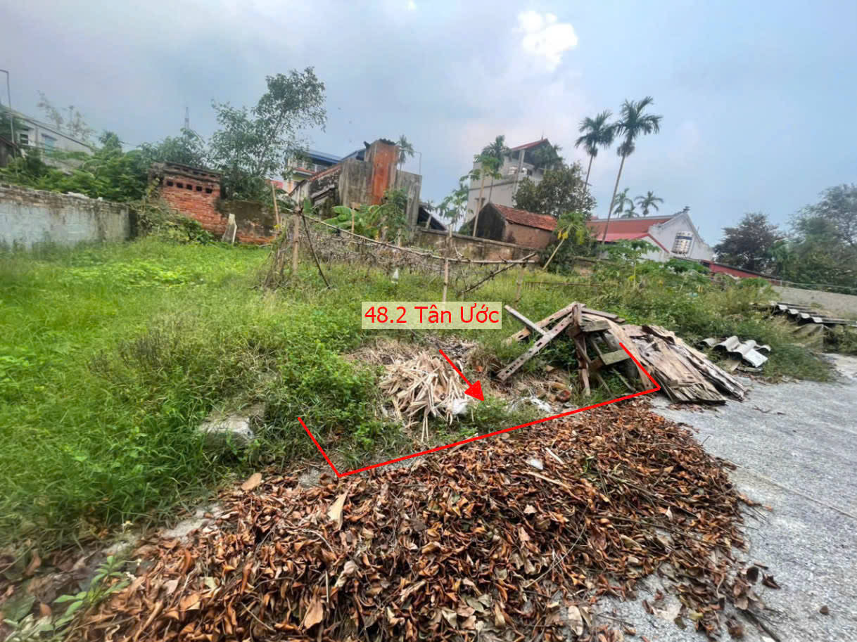 Hình ảnh Bán Đất Tân Ước Ngay Sát Trục Chính Kinh Doanh Liên Xã Giá Chỉ Hơn Tỷ 