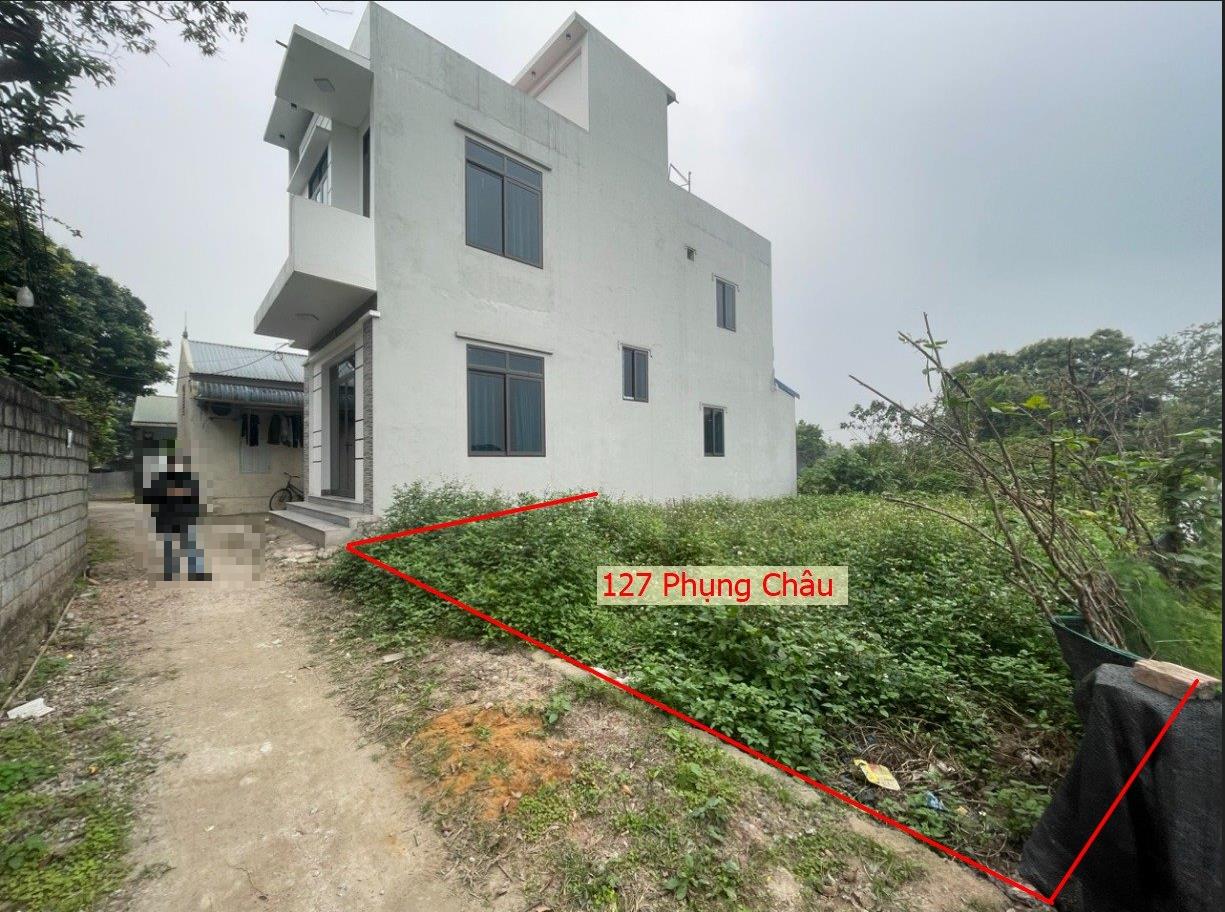 Hình ảnh Bán Đất Phụng Châu Gần Trục Chính Kinh Doanh , Trung Tâm Xã Phụng Châu 