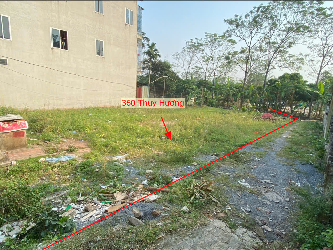 Hình ảnh Bán Đất Thụy Hương Sát Trục Chính Kinh Doanh Liên Xã Ngay Trung Tâm Hành Chính Xã Thụy Hương