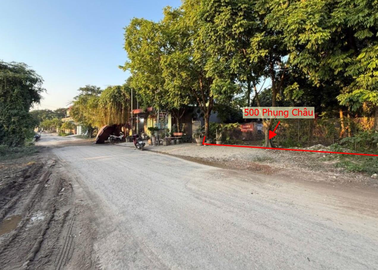 Hình ảnh Chủ Cắt Bán 500m Mặt Trục Kinh Doanh Liên Xã Tại Phụng Châu Sát Khu Du Lịch Chùa Trầm