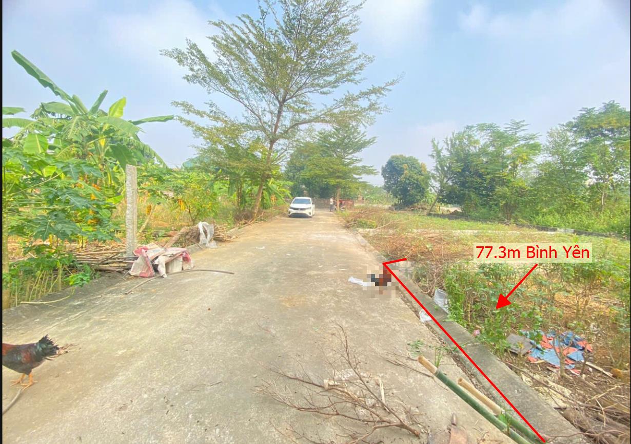 Hình ảnh Bán Lô Đất 77.3m Tại Bình Yên Thạch Thất Bám Đường Bê Tông Ô Tô Vào Tận Đất Dân Cư Đông Đúc Thân Thiện Gần Chợ Trường Học Ủy Ban Giá Đầu Tư