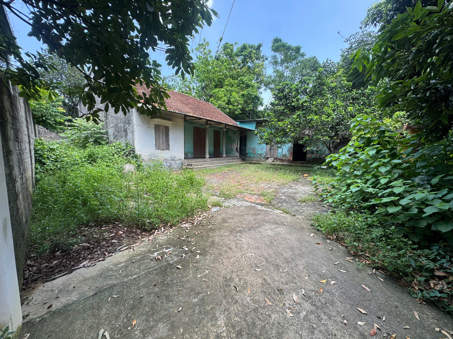 Hình ảnh Bán Thửa Đất 567.3m Tại Đông Sơn Ngay Sát Trục Chính Kinh Doanh Liên Huyện Giá Chỉ Vài Tỷ