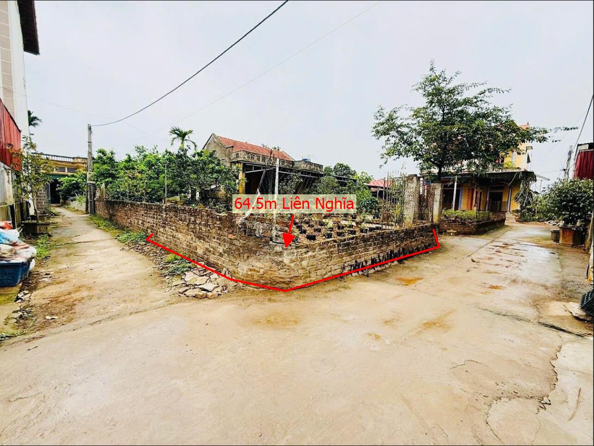 Hình ảnh Bán Lô Đất 45.1m Tại Liên Nghĩa Văn Giang Bám Đường Bê Tông Ô Tô Tránh Nhau  Cách TRục Chính Kinh Doanh 100m Giá Rẻ Cho Nhà Đầu Tư