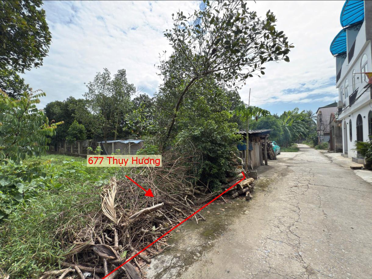 Hình ảnh Bán Thửa Đất 677m Tại Thụy Hương Ô Tô Vào Tận Đất Sát Trục Kinh Doanh Giá Chỉ Vài Trăm Triệu
