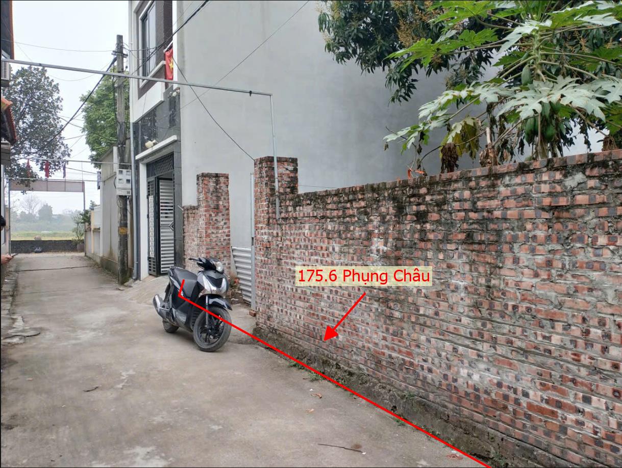 Hình ảnh Bán Thửa Đất 175.6m Tại Phụng Châu Ô Tô Đỗ Tận Đất Gần Trục Kinh Doanh Liên Xã Giá Chỉ Vài Tỷ