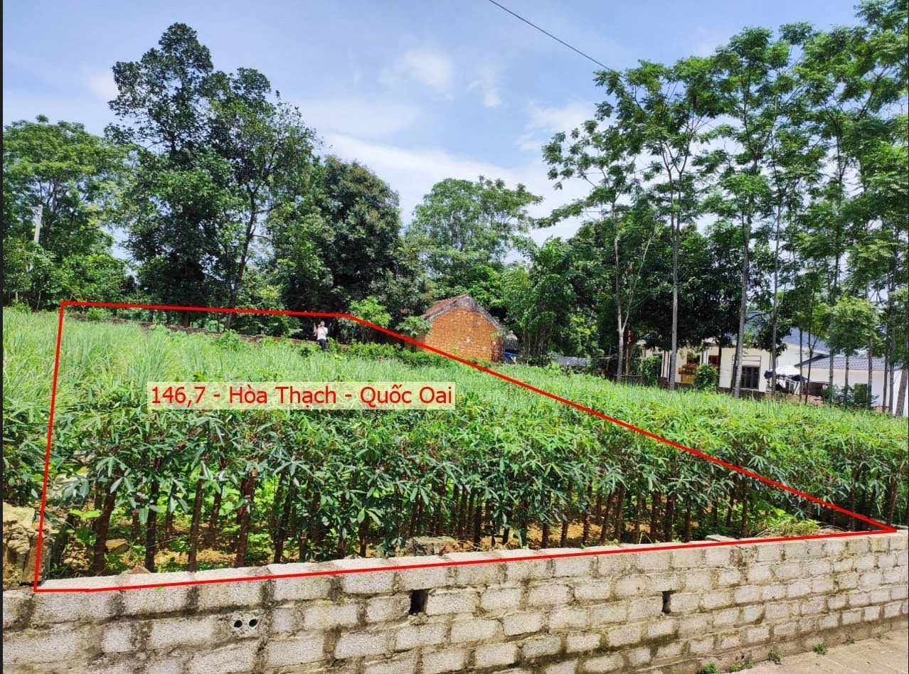 Hình ảnh Gia đình cần bán thửa đất dân để xây nhà 146m2 ở Hòa Thạch Quốc Oai