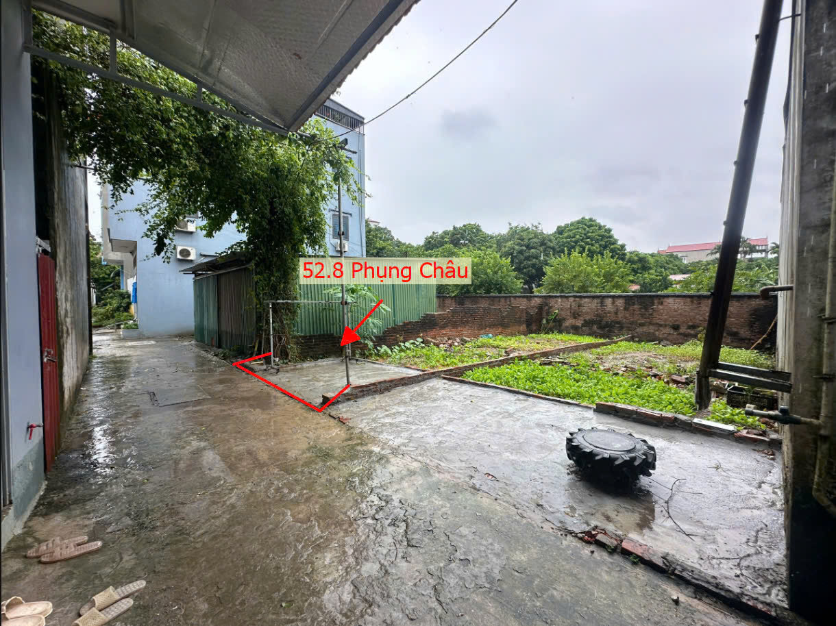 Hình ảnh Bán Đất Phụng Châu Full Thổ Cư Ngay Sát Trục Kinh Doanh Liên Huyện 