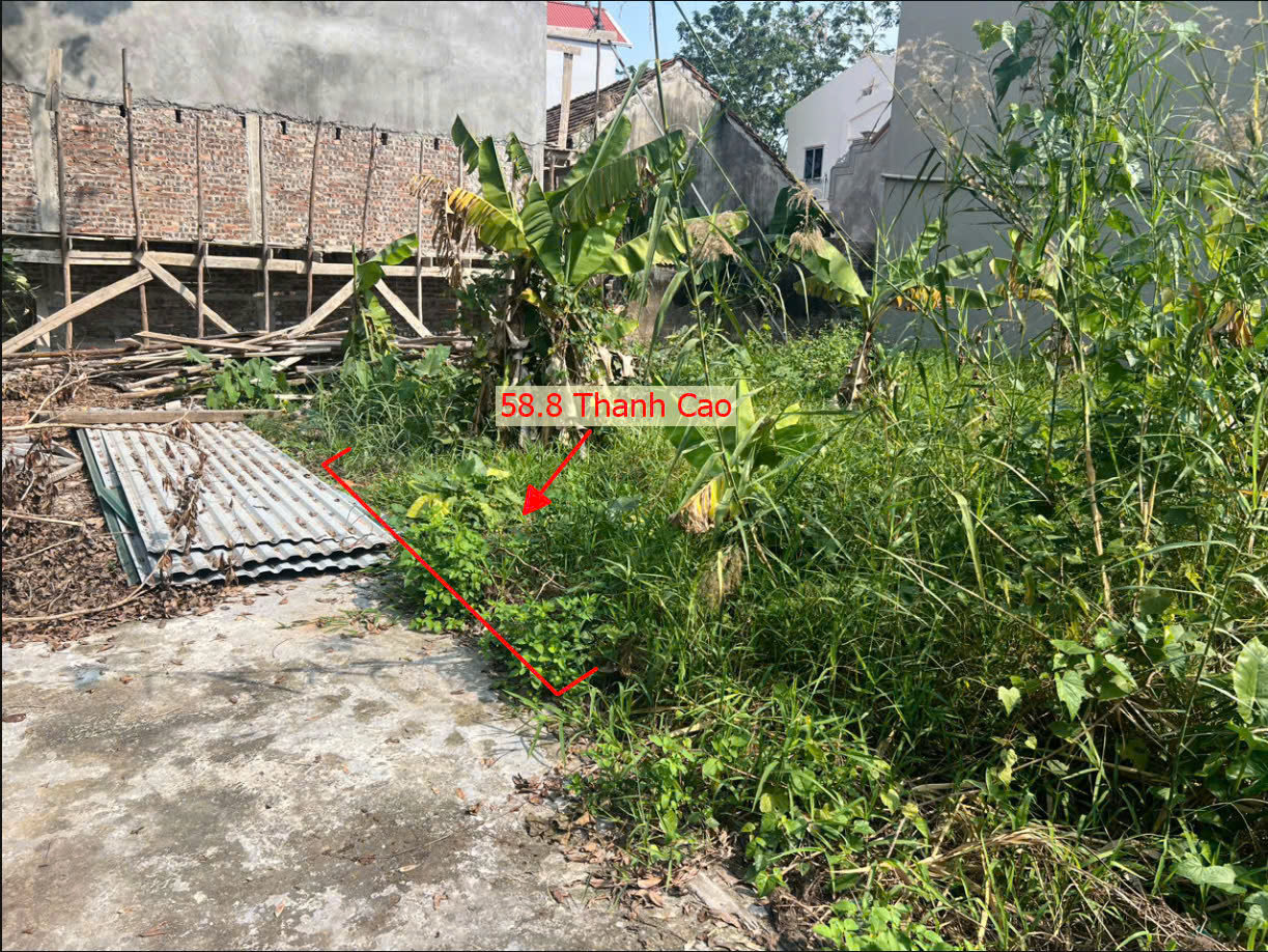 Hình ảnh Bán Đất Thanh Cao Gần Trục Chính Liên Xã Ngay Trung Tâm Hành Chính Xã Thanh Cao Giá Chỉ Hơn Tỷ