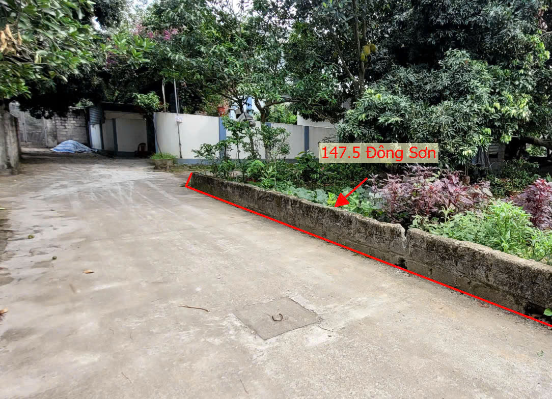 Hình ảnh Bán Đất Full Thổ Cư 147.5m Taị Đông Sơn Chương Mỹ Ô Tô Đỗ Tận Đất Gần QL6A Đang Mở Rộng