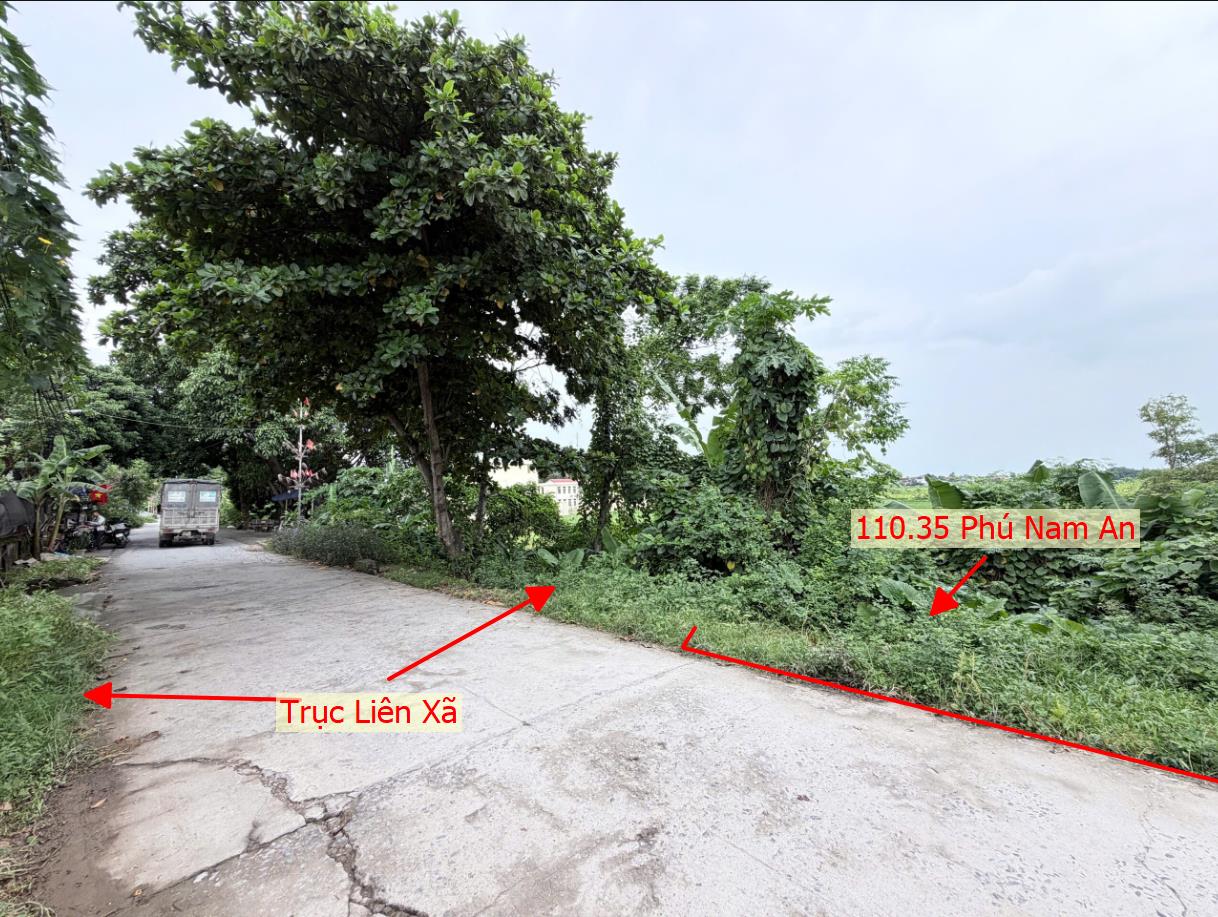 Hình ảnh Bán Đất Đấu Giá Phú Nam An Mặt Đường Liên Huyện Ngay Trung Tâm Xã Phú Nam An 