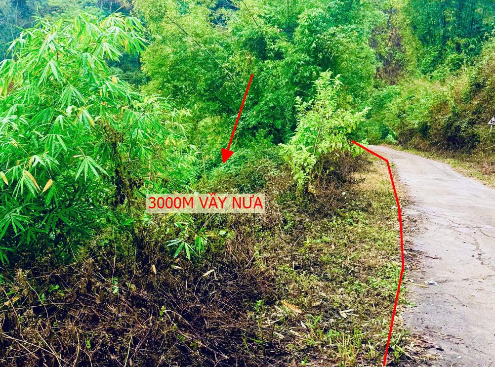 Hình ảnh Bán Lô Đất Nghỉ Dưỡng 3000m Tại Vầy Nưa Đà Bắc Bám Đường Bê Tông Ô Tô vào Tận Đất