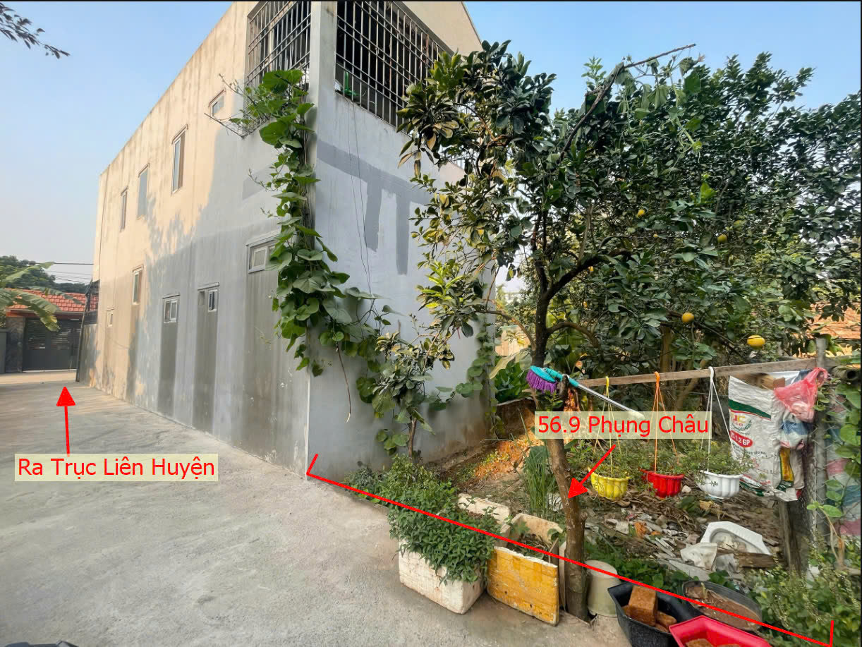 Hình ảnh Bán Đất Phụng Châu Ô Tô Vào Tận Đất Gần Trung Tâm Xã Phụng Châu Sát Trục Kinh Doanh Liên Huyện