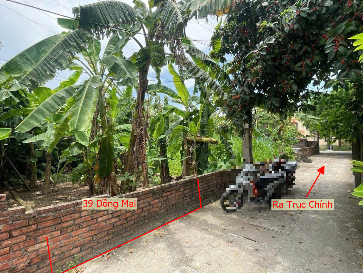 Hình ảnh Bán Đất Đồng Mai Gần Trục Chính Kinh Doanh Cách Đê Tả Đáy Vài Bước Chân Mà Giá Chỉ Vài Tỷ