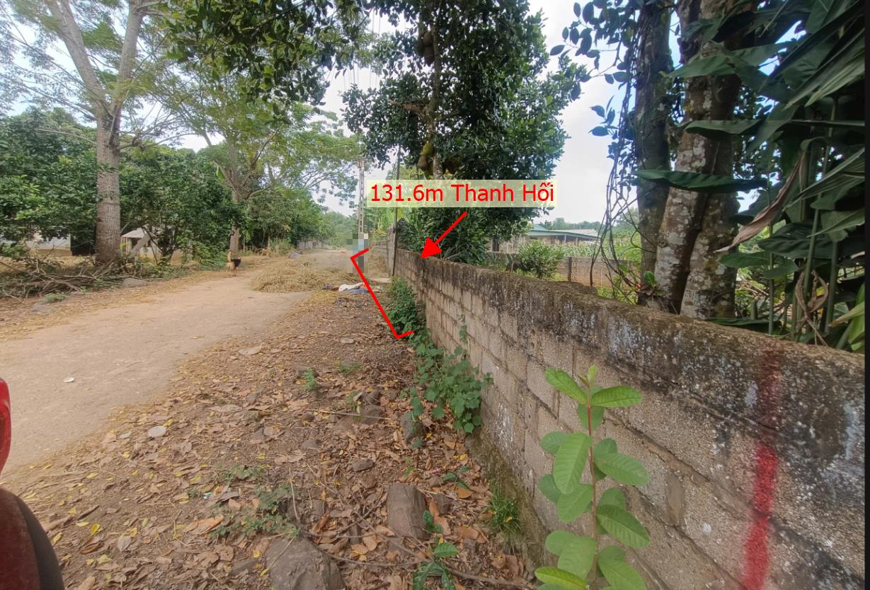 Hình ảnh Bán Lô Đất 131.6m Tại Thanh Hối Tân Lạc Bám Đường Bê Tông Ô Tô Vào Tận Đất Dân Cư Đông Đúc Thân Thiện Gần Chợ Trường Học Ủy Ban Giá Đầu Tư