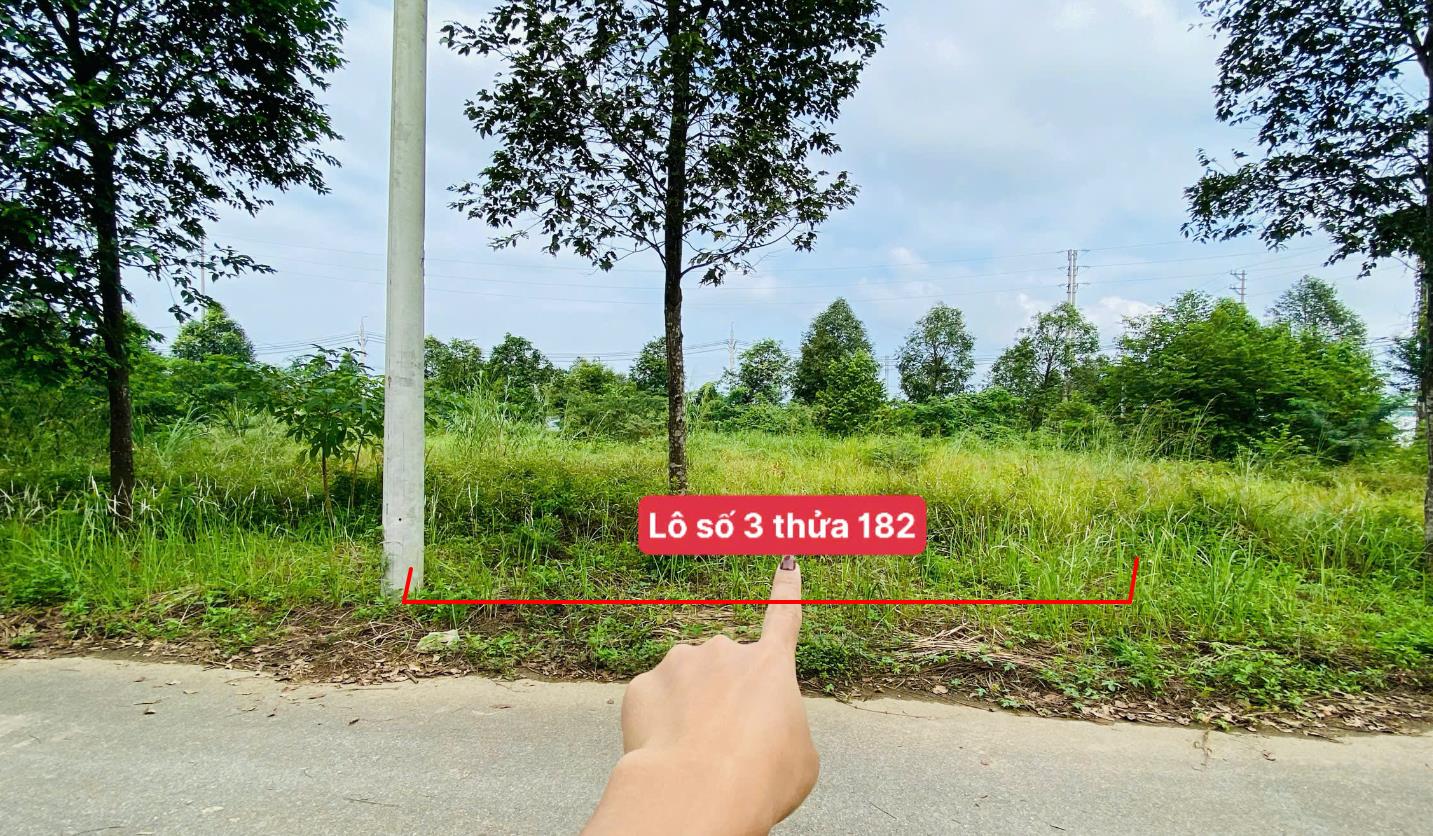 Hình ảnh Bán Lô Đất 100m Tại Cổ Đông Sơn Tây Bám Đường Bê Tông Ô Tô Vào Tận Đất Dân Cư Đông Đúc Thân Thiện  Cách Ql21A 3km Đầu Tư Tiềm Năng Sinh Lời