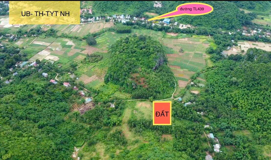 Hình ảnh Bán Lô Đất 4312m Tại Săm Khỏe Mai Châu Bám Đường Bê Tông Ô Tô Vào Tận Đất Gần chợ Ủy Ban Trường Học View Thoáng Mát Giá Đầu Tư