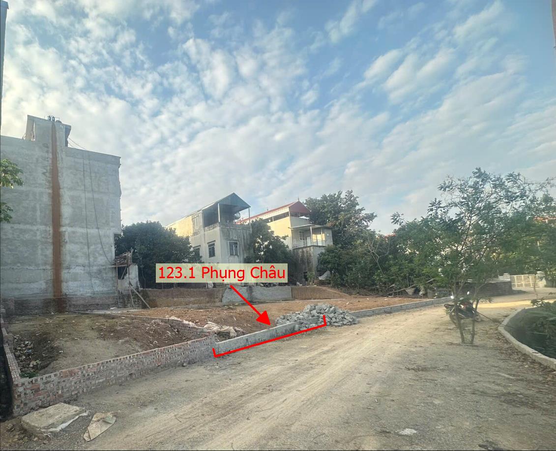 Hình ảnh Bán Thửa Đất Full Thổ Cư 123.1m Tại Phụng Châu Đường Ô Tô Tránh Sát Trục Chính Kinh Doanh Liên Xã