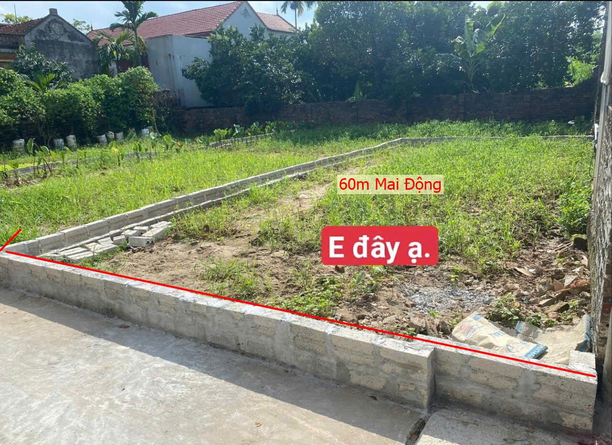 Hình ảnh Bán Lô Đất 60m Tại Mai ĐỘng Kim Động Bám Đường Bê Tông Ô Tô Vào Tận Đất Dân Cư Đông Đúc Thân Thiện Giá Đầu Tư
