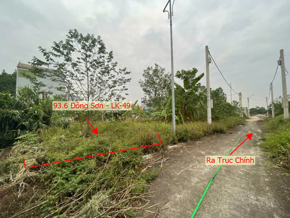 Hình ảnh Bán Đất Đấu Giá Đông Sơn Sát Trục Chính Kinh Doanh Ô Tô Đỗ Tận Đất Gần QL6A Đang Mở Rộng