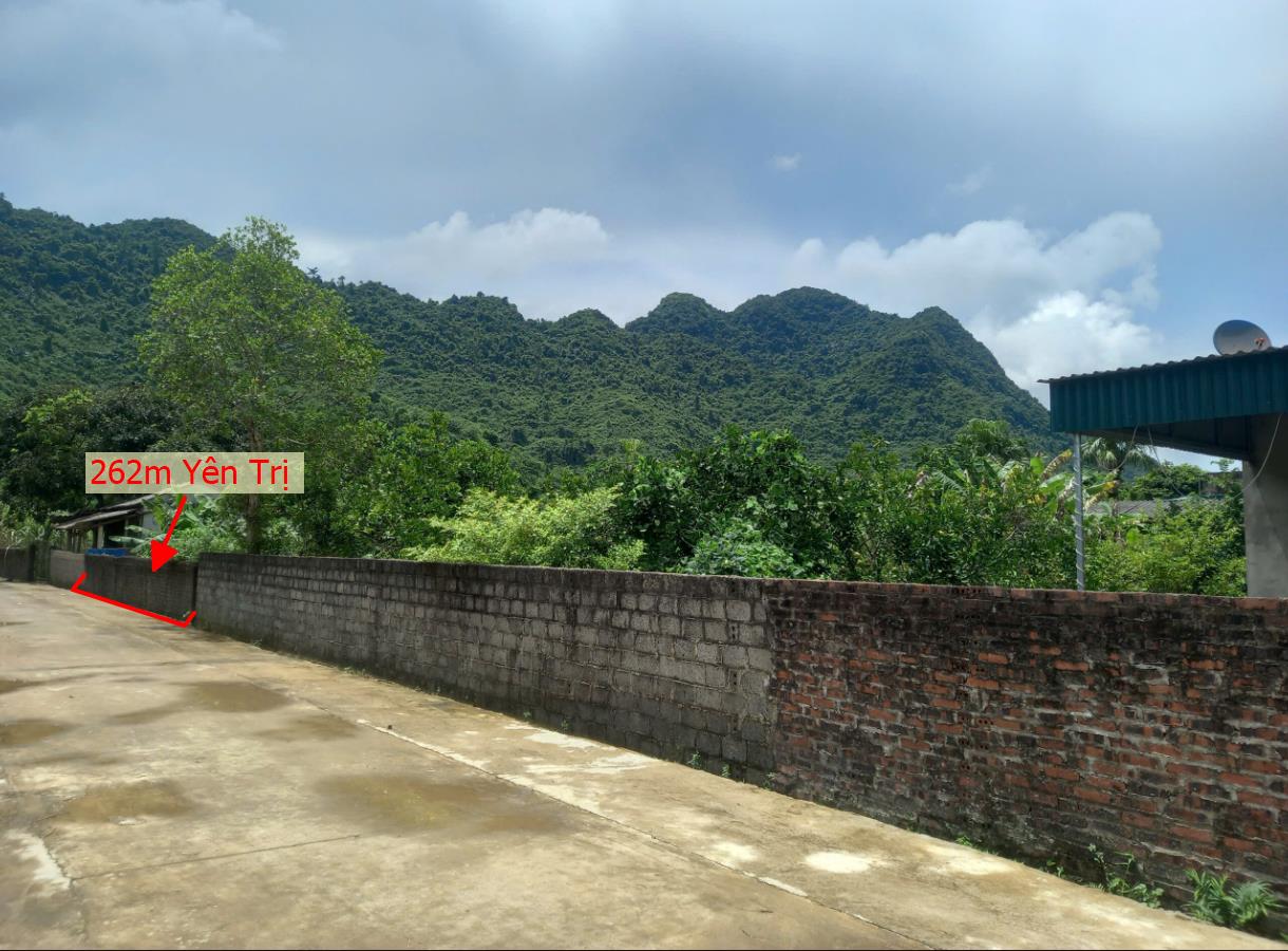 Hình ảnh Bán Lô Đất 262m Tại Yên Trị Bám Đường Bê Tông Ô Tô Vào Tận Đất Dân Cư Đông Đúc View Núi Thoáng Mát Giá Đầu Tư