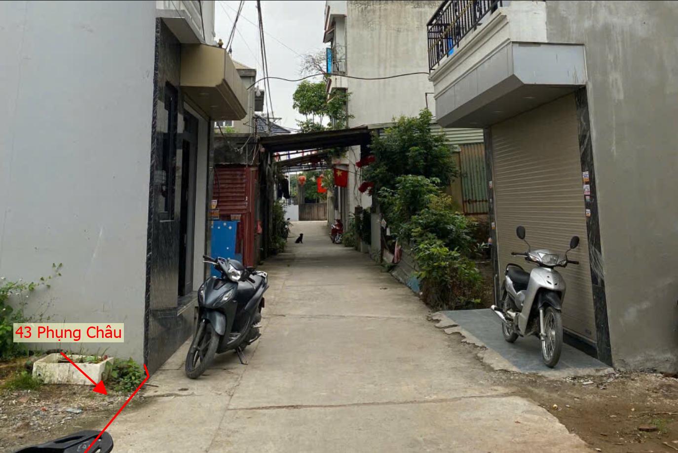 Hình ảnh Bất Động Sản Chương Mỹ Bán Đất Khu Vực Phụng Châu Full Thổ Cư Ô Tô Vào Tận Đất Gần Trục Chính Kinh Doanh Liên Xã 