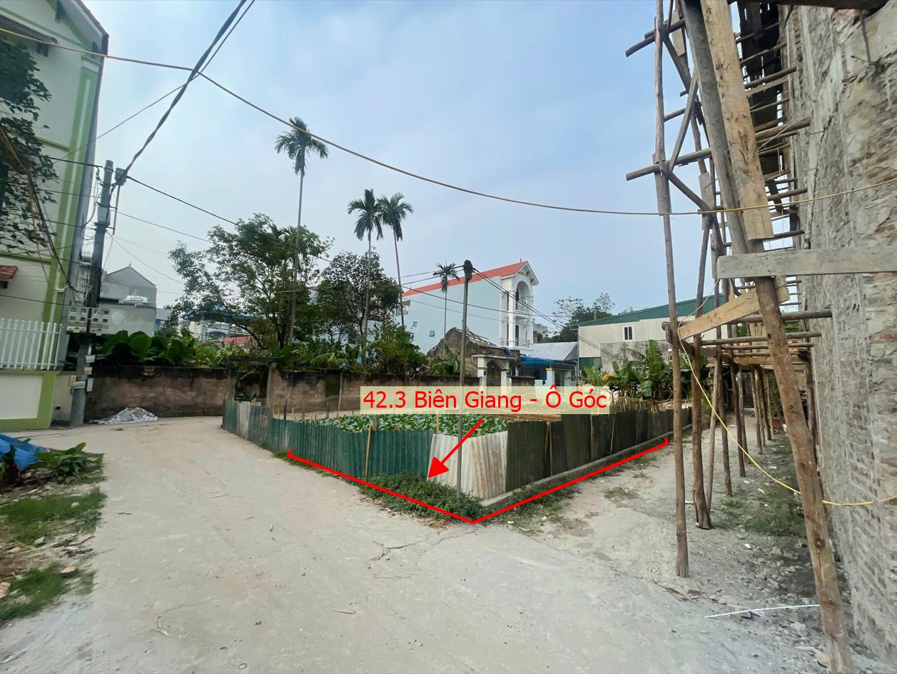 Hình ảnh Bán Lô Góc 2 Mặt Tiền Sát Trục Kinh Doanh Tại Biên Giang Gần QL6A Đang Mở Rộng