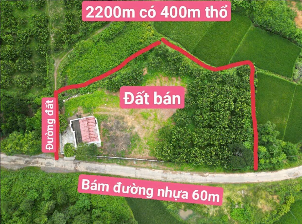 Hình ảnh Bán Lô Đất 2202.6m Tại Tân Lạc Bám Đường Bê Tông Ô Tô Vào Tận Đất Phù Hợp Làm Nghỉ Dưỡng Giá Đầu Tư