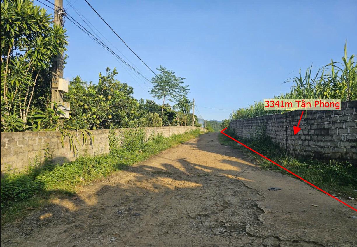 Hình ảnh Bán Lô Đất 3341m Tại Tân Phong Cao Phong Bám ĐƯờng Bê Tông Ô Tô Vào Tận Đất Dân Cư Đông Đúc Thân Thiện Giá Đầu Tư