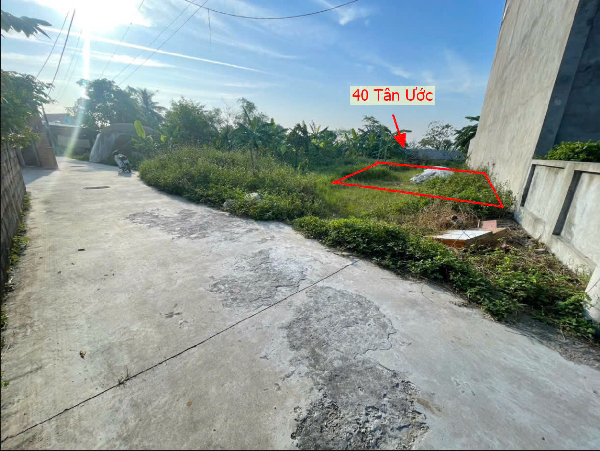 Hình ảnh Đất Phân Lô Tân Ước Ô Tô Vào Tận Đất Sát Trục Kinh Doanh Liên Xã Ngay Trung Tâm Xã Tân Ước 