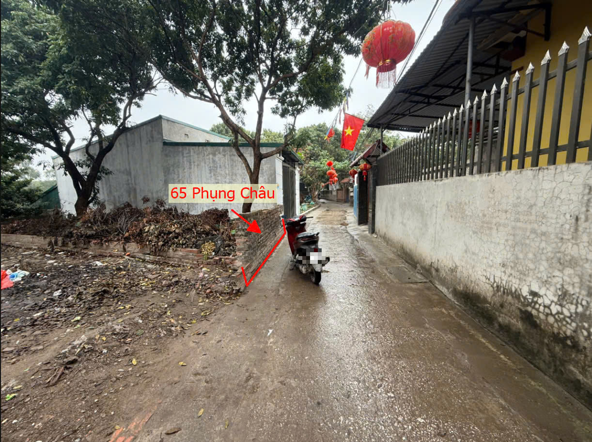 Hình ảnh Bán Đất Full Thổ Cư 65M2 Tại Phụng Châu Ô Tô Vào Tận Đất Gần Trục Chính Kinh Doanh Liên Huyện 