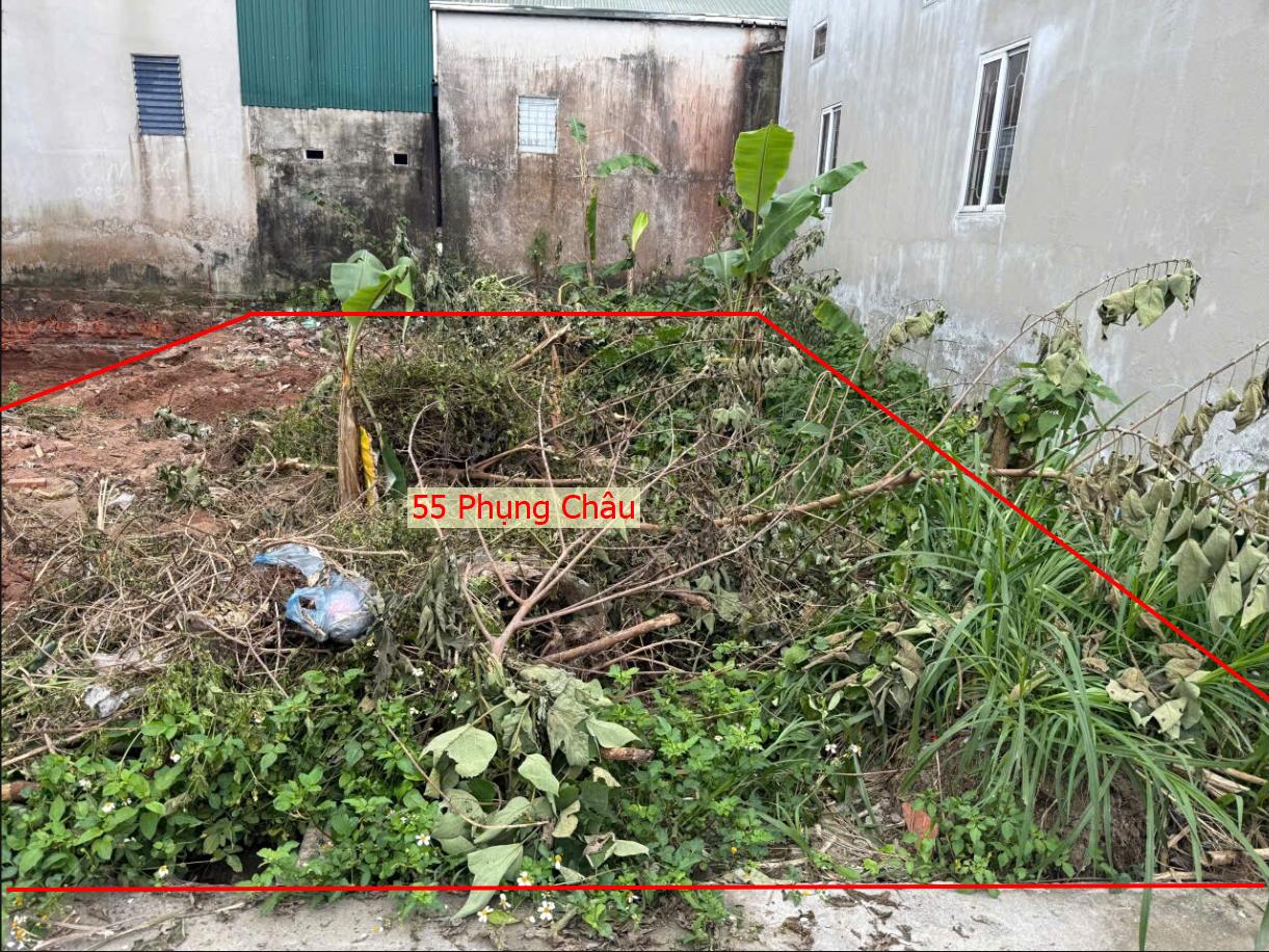 Hình ảnh Bán Đất Full Thổ Cư 55m Tại Phụng Châu Sát Trục Chính Kinh Doanh Liên Xã Giá Chỉ Vài Tỷ