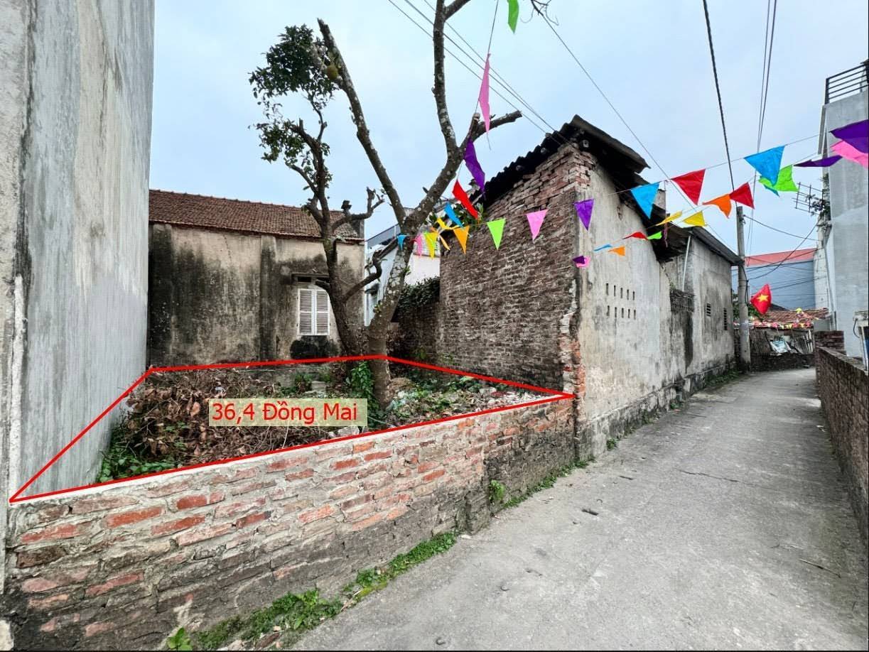 Hình ảnh Bán Đất Đồng Mai Ngay Gần Khu Đất Dịch Vụ Đồng Mai Giá Nhỉnh Tỷ 