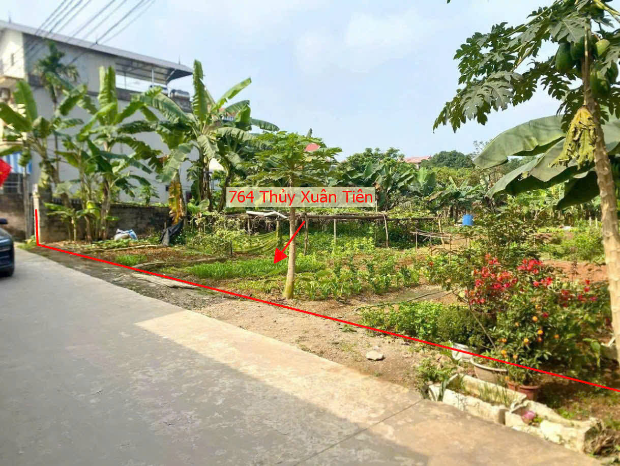 Hình ảnh Bán Đất Thủy Xuân Tiên Ô Tô Vào Tận Đất Ngay Sát QL21A Giáp Thị Trấn Xuân Mai 