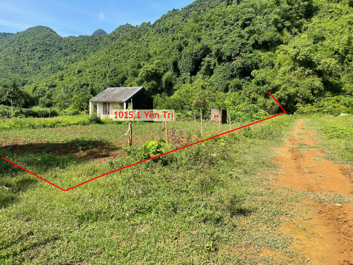 Hình ảnh Bán Đất Nghỉ Dưởng Cực Đẹp Sát Vườn Quốc Giá Cúc Phương Tại Yên Trị Yên Thủy