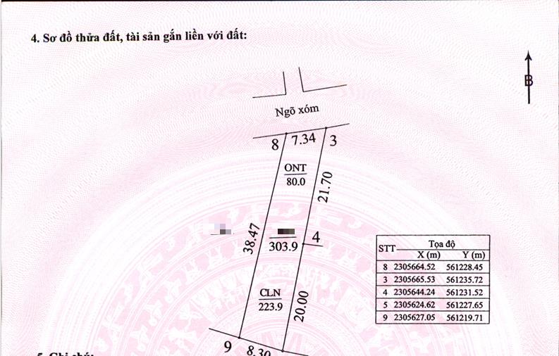 Hình ảnh Bán Thửa Đất 303.9m Tại Nam Phương Tiến Ô Tô Đỗ Tận Đất Gần Trục Chính Kinh Doanh Liên Xã
