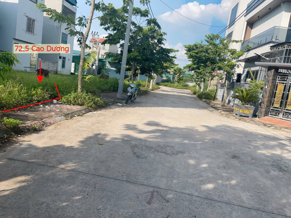 Hình ảnh Bán Đất Đấu Giá Rặng Sẵn Cao Dương Ngay Trung Tâm Xã Cao Dương Sát TL429 (LK3-06)