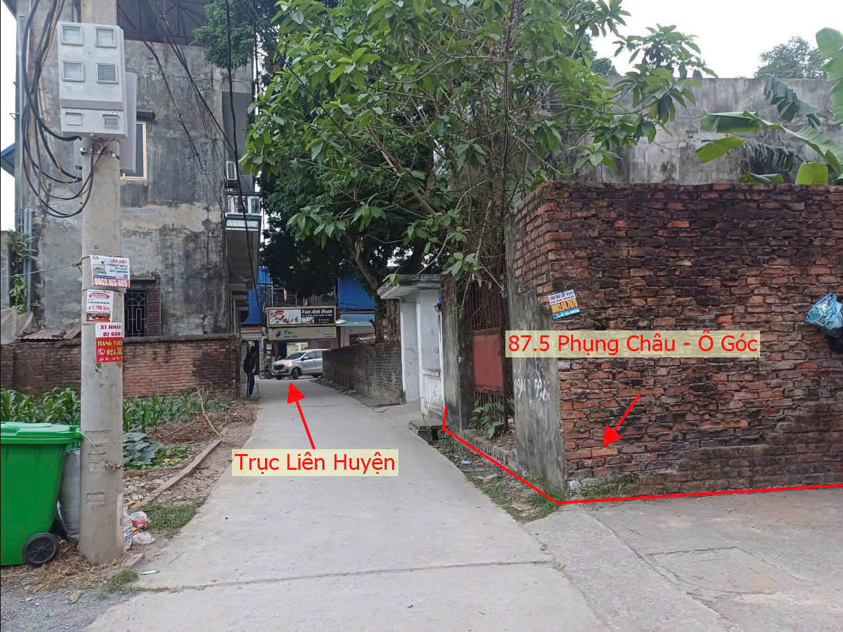 Hình ảnh Bán Lô Góc 2 Mặt Tiền Đường Ô Tô Tránh Ngay Sát Mặt Đường Kinh Doanh Liên Huyện Tại Phụng Châu 