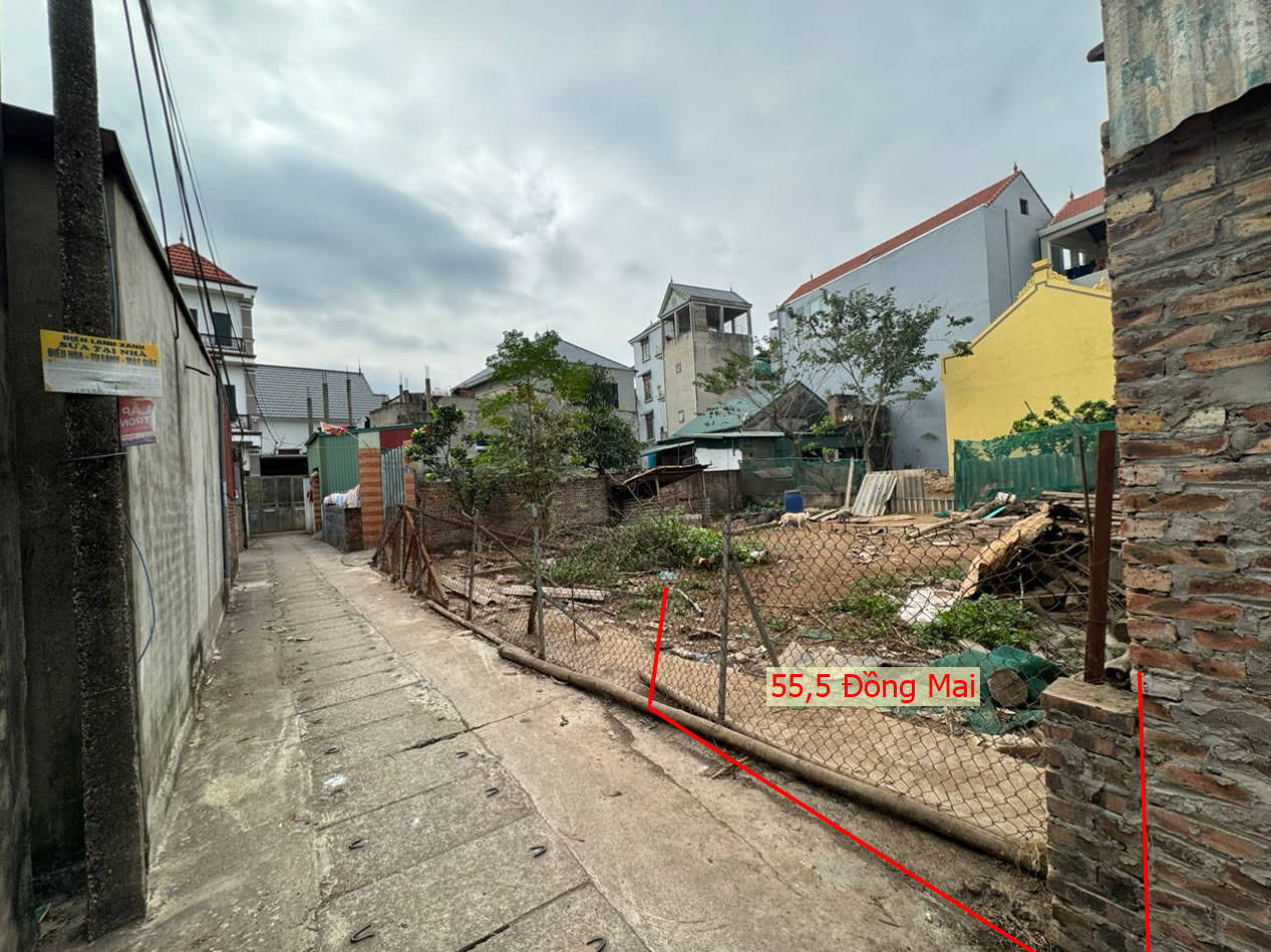 Hình ảnh Bán Đất Động Mai Ngay Sát Trục Kinh Doanh Gần Khu Dịch Vụ Sinh Thái Đồng Mai 