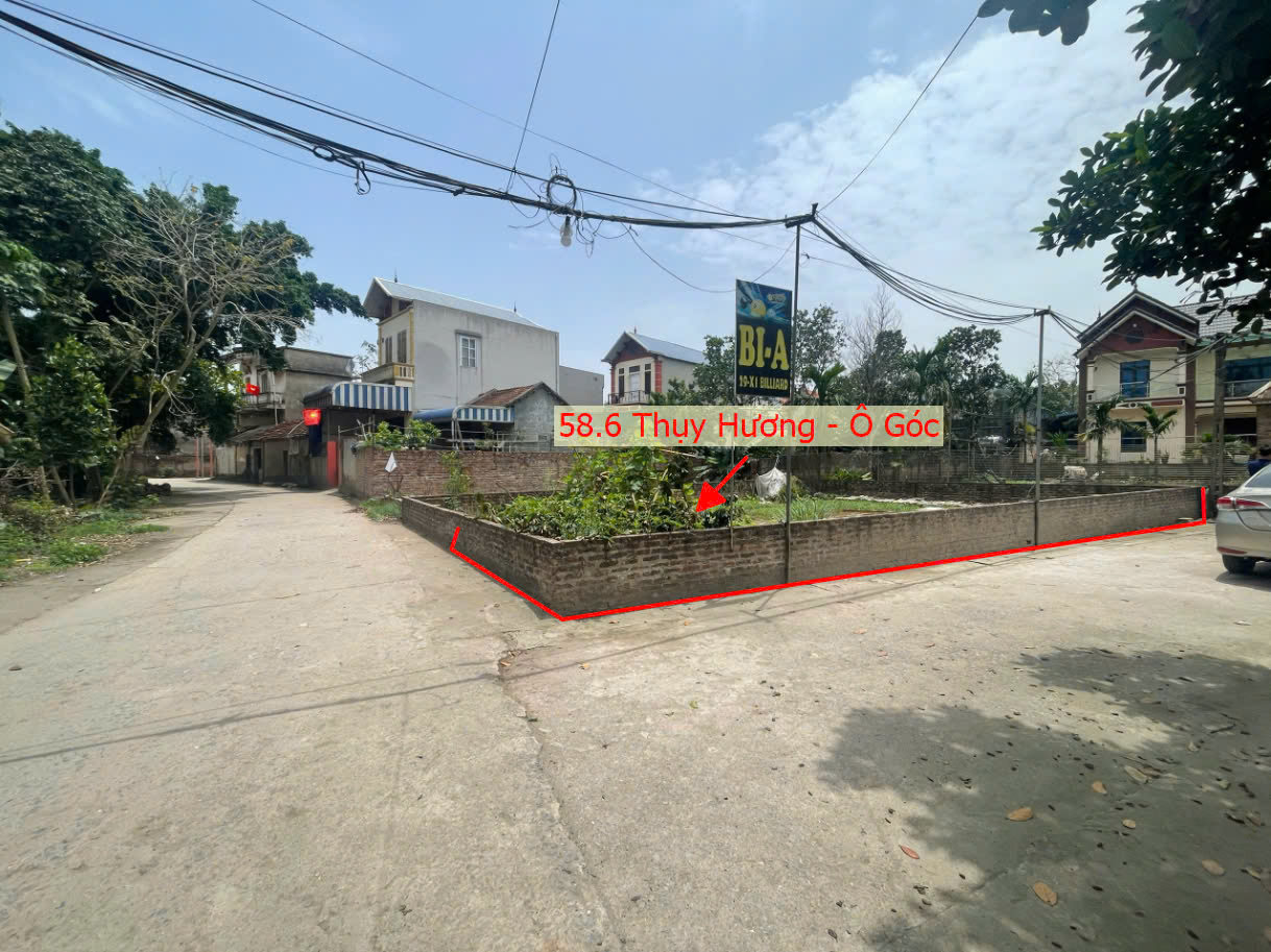 Hình ảnh Bán Lô Góc 2 Mặt Thoáng 58.6m Tại Thụy Hương Mặt Trục Chính Kinh Doanh Giá Chỉ Vài Tỷ 