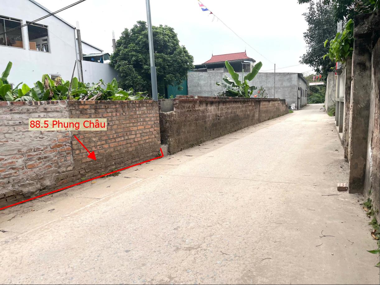 Hình ảnh Bất Động Sản Chương Mỹ Bán Đất Phụng Châu Ô Tô Vào Tận Đất Sát Trục Chính Kinh Doanh Liên Xã Gần Trường TDTT