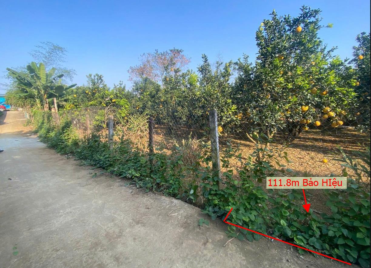 Hình ảnh Bán Đất Phân Lô Tại Bảo Hiệu Yên Thủy Bám Đường Bê Tông Ô Tô Vào Tận Đất Dân Cư Đông Đúc Thân Thiện Giá Đầu Tư