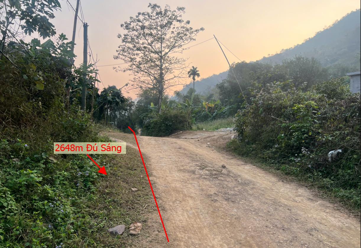 Hình ảnh Bán Lô Đất 2647m Tại Đú Sáng Kim Bôi Bám Đường Bê Tông Ô Tô Vào Tận Đất Dân Cư Đông Đúc Thân Thiện Giá Rẻ