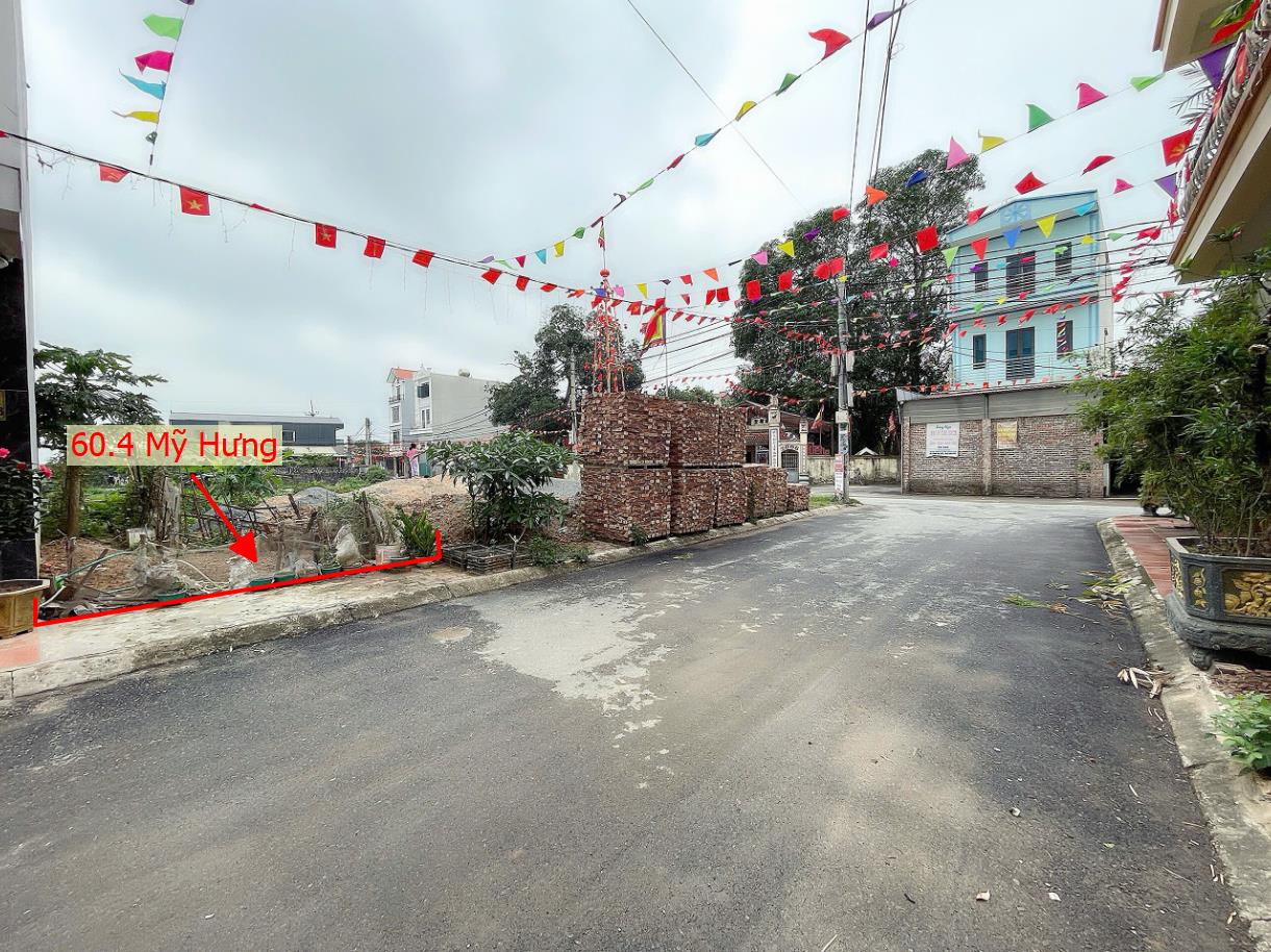 Hình ảnh Bán Đất Đấu Giá Khu Đình Quãng Mỹ Hưng 60.4m Đường Ô Tô Tránh Nhau Sát Trục Chính Liên Xã Ngay Gần Đường Cenco5