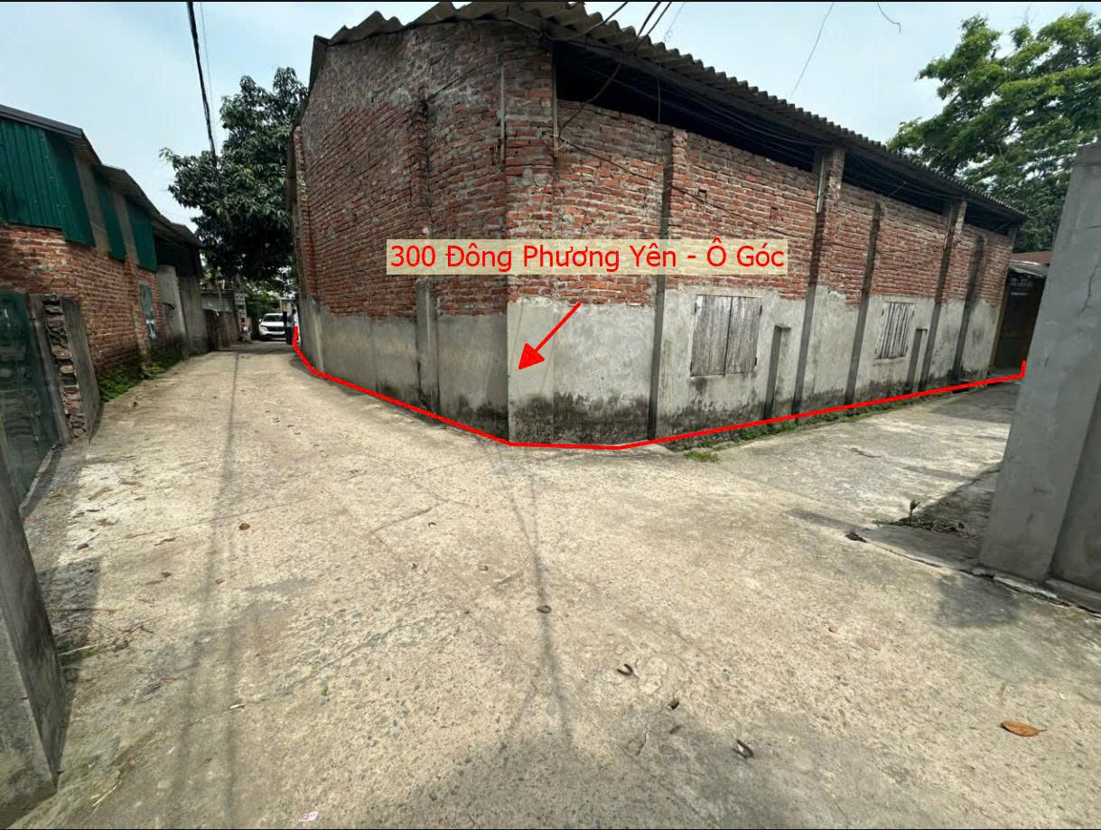 Hình ảnh Bán Lô Góc 2 Mặt Thoáng 300m Tại Đông Phương Yên Ô Tô Đỗ Tận Đất Sát Trục Kinh Doanh Liên Xã 