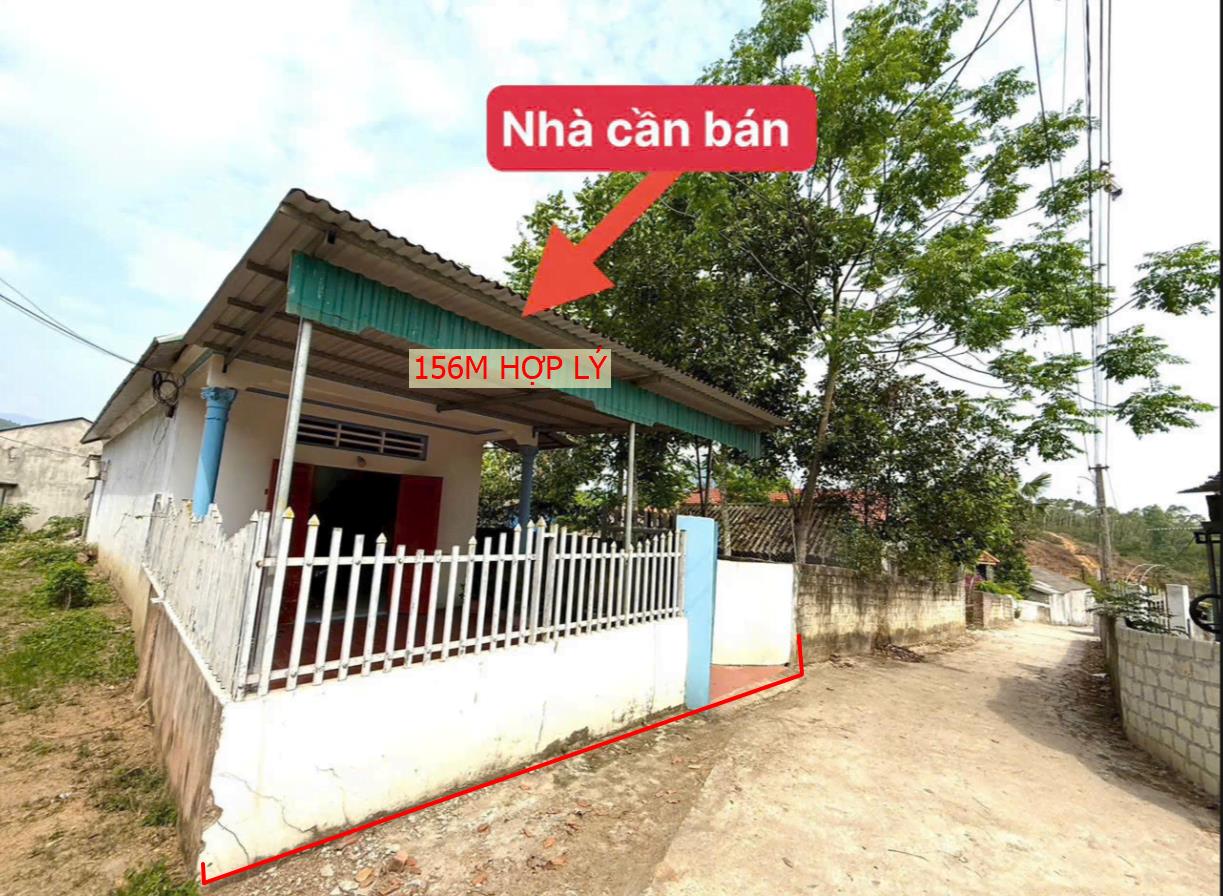 Hình ảnh Bán Lô Đất 156m Tại Hợp Lý Lập Thạch Đã Sẵn Nhà Bám ĐƯờng Bê Tông Ô Tô Vào Tận Đất Dân Cư Đông đúc Giá Đầu Tư