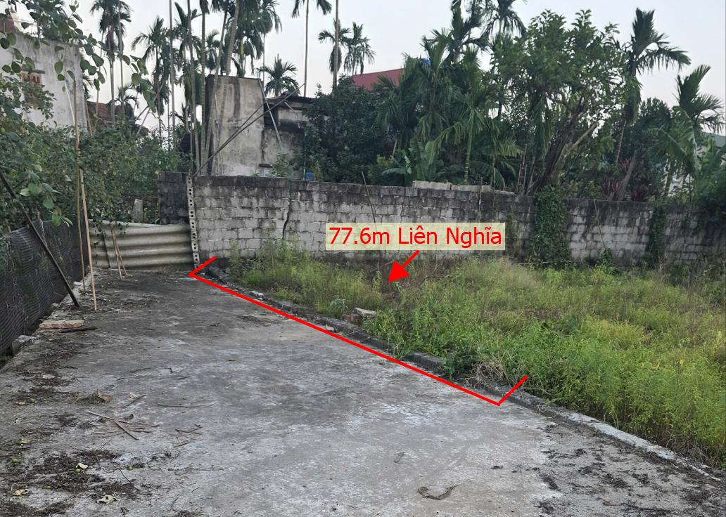 Hình ảnh Bán Lô Đất 77.6m Tại Liên Nghĩa Văn Giang Bám Đường Bê Tông Ô Tô Vào Tận Đất Dân Cư Đông Sổ Đỏ Pháp Lý Rõ Ràng 